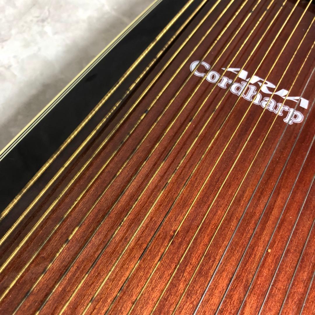 ARIA　AH-21E　弦楽器　コードハープ　専用ケース　ピックアップ搭載モデル