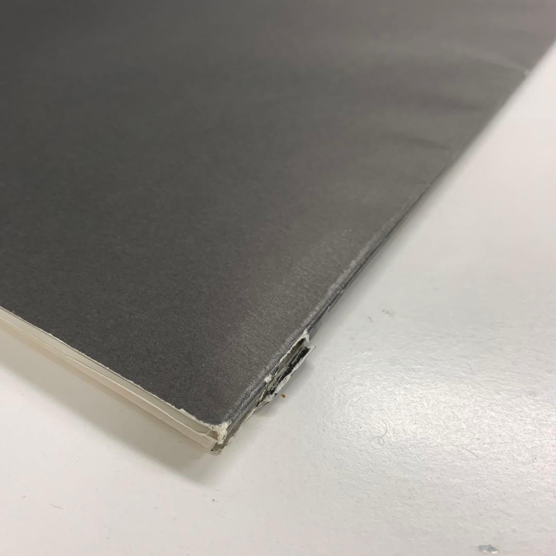 ALASTAIR THAIN SHADOW OF AMANⅡアラステアサイン