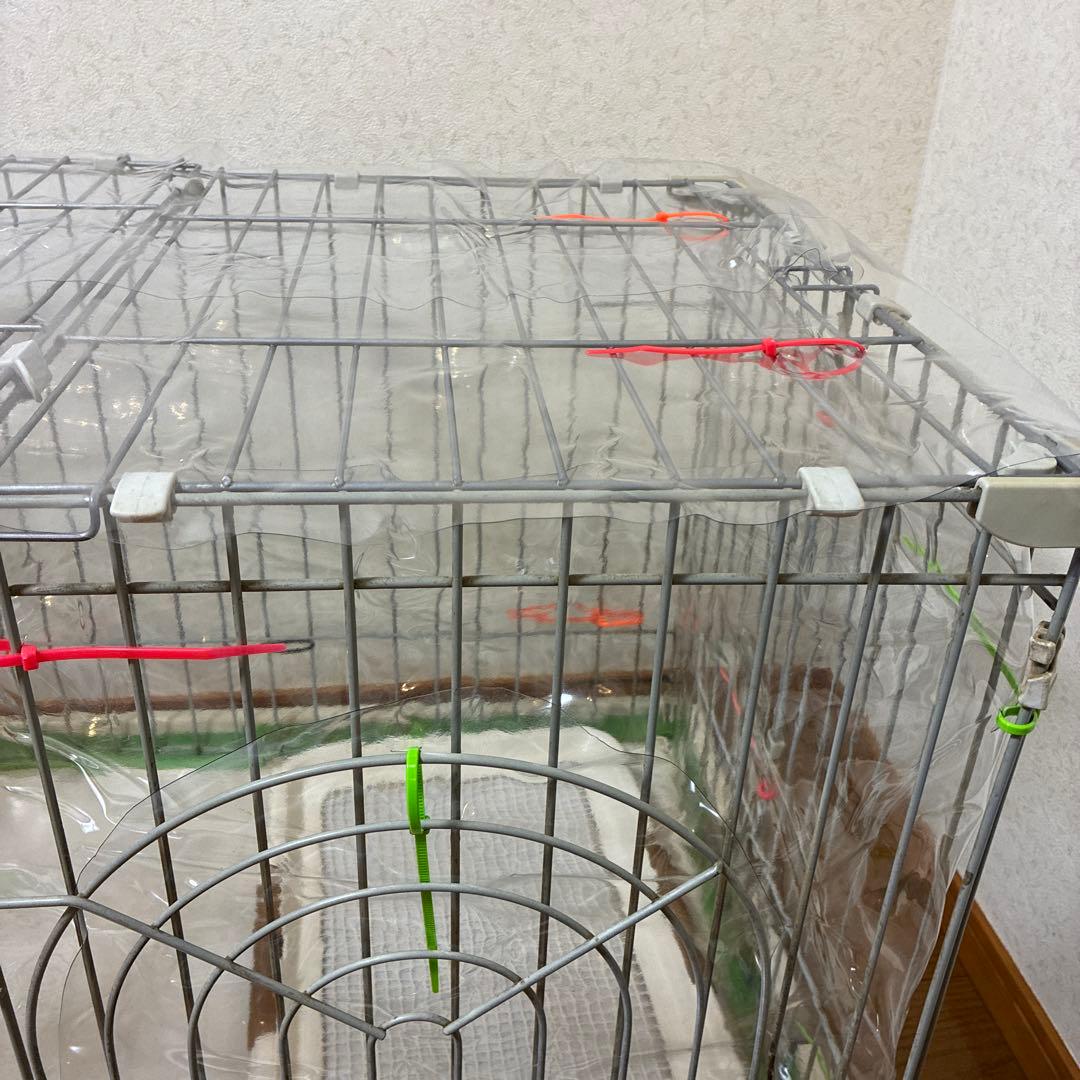 Nevoton　酸素発生器　ペット用　MAFmini 1.0L