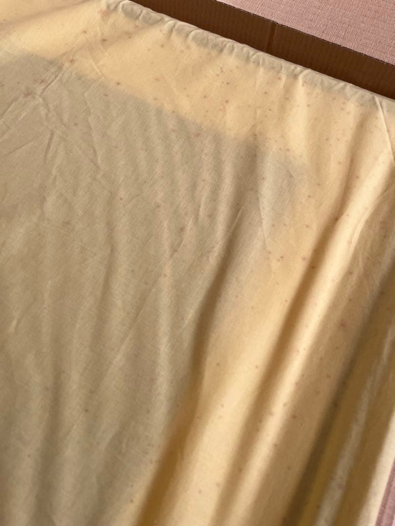 絵画　ヒロ・ヤマガタ「ティンカーベル 東京ディズニーランド」　シルクスクリーン