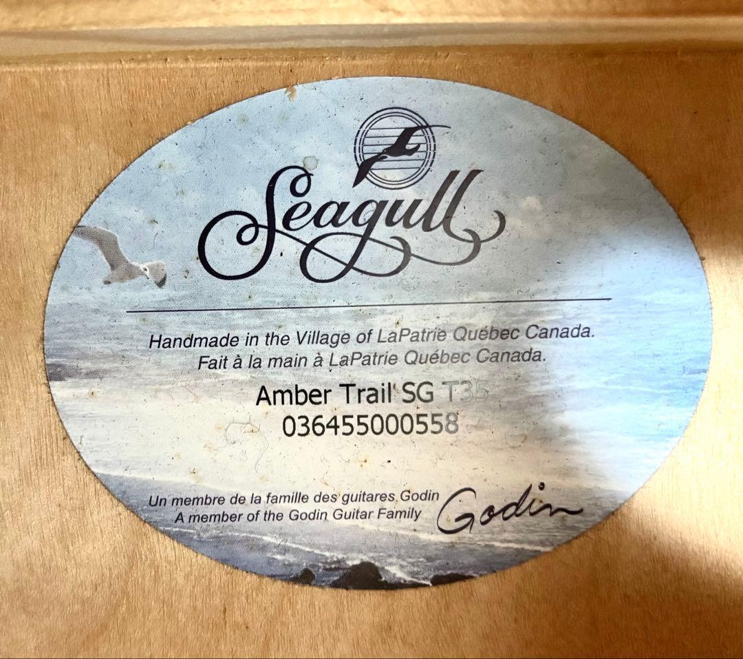 【新品弦張替済】Seagull エレアコ Amber Trail SG T35