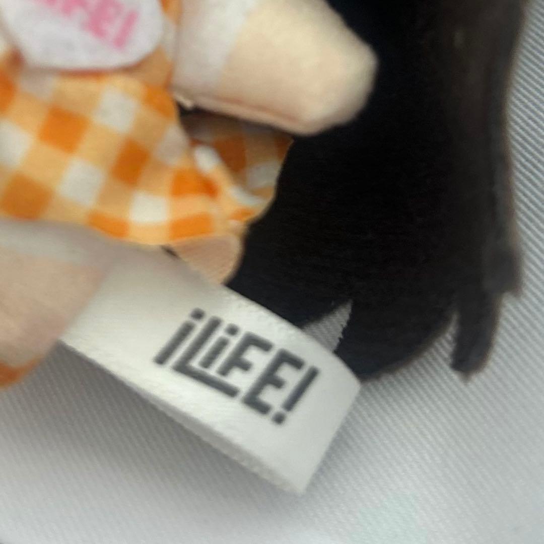 小熊まむ ぬいぐるみ iLife! 推しぬいマスコット 武道館