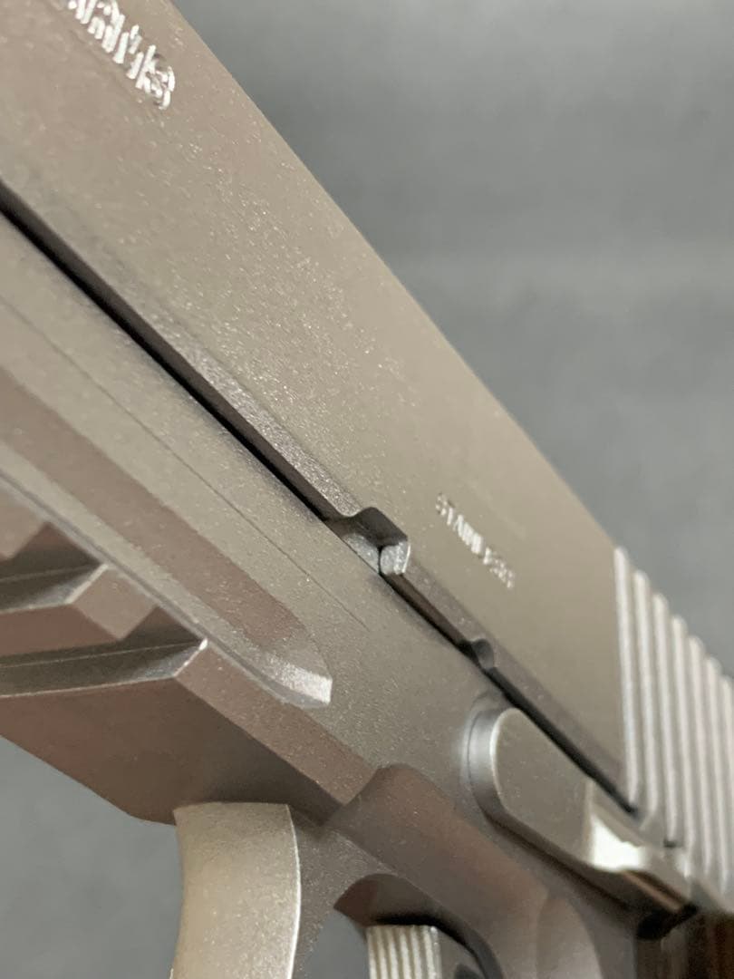 じょん様用 WA ベイビーわるきゅーれ SIG GSR まひろ ver.