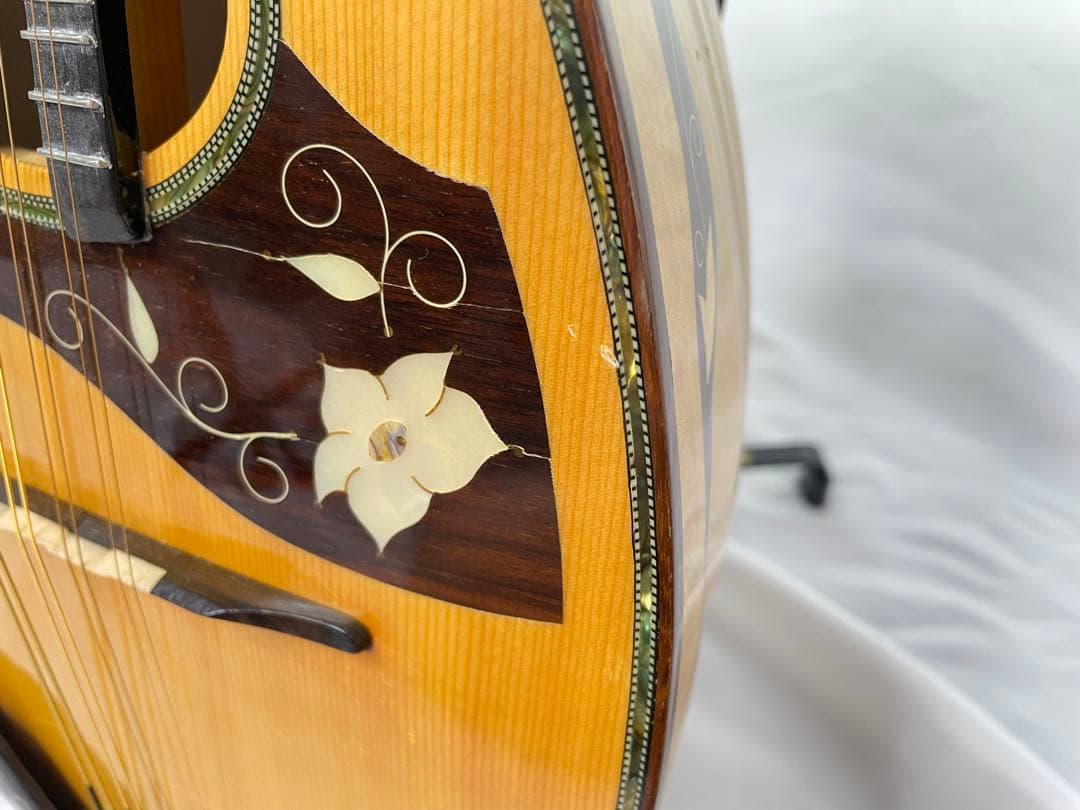 sound ena サウンドエナ M-200 最上位機種マンドリン