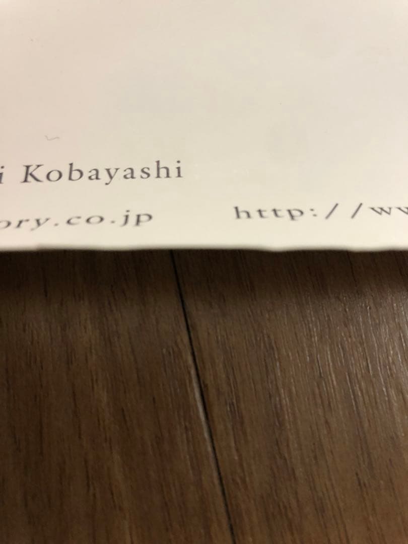 非売品 salyu 3rdシングル「peaty」 販促ポスターB2