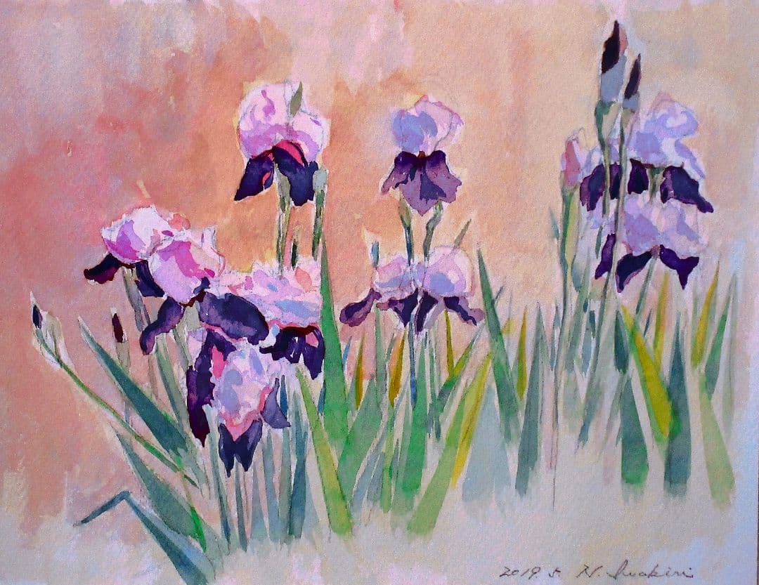 アイリスの(水彩画 2018年 )