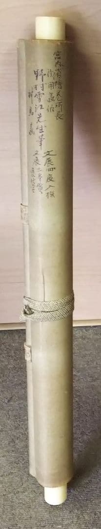 掛け軸　双馬　野村雪江先生