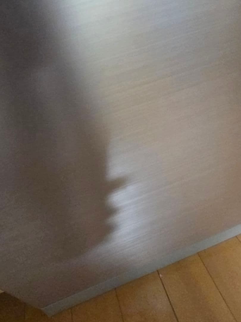 冷蔵庫 日立 HITACHI R-V32NV 315L