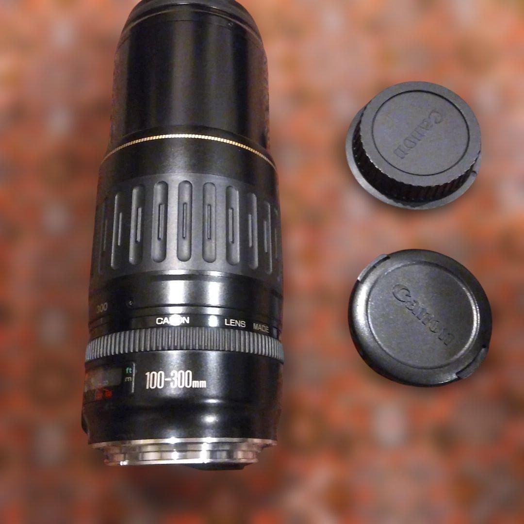 Canon 100-300mm ウルトラソニック ズームレンズ