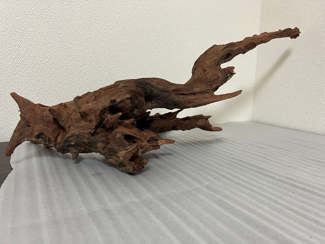 HX-080 流木　ホーンウッド　マシンガンウッド　アクアリウム　ブランチウッド