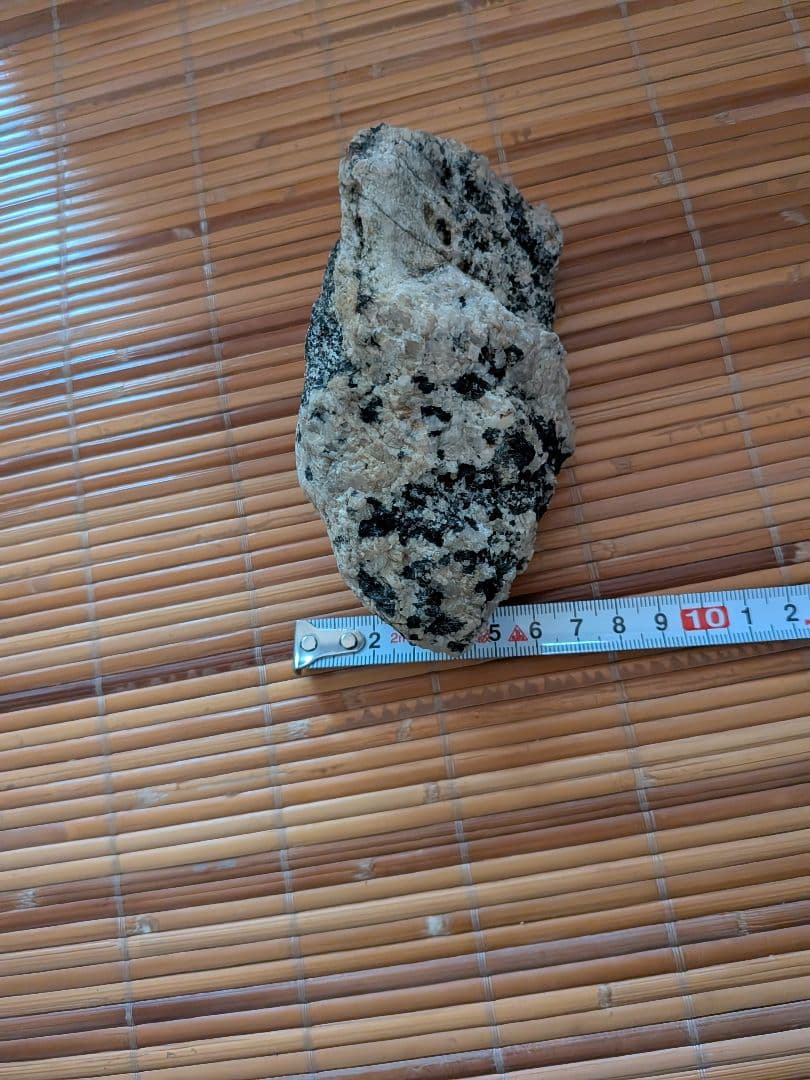南極の石 コレクション用