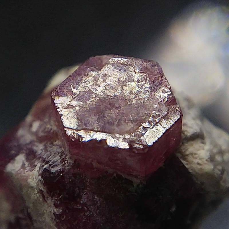 307 クラスター レッドベリル ビクスバイト レッドエメラルド 標本