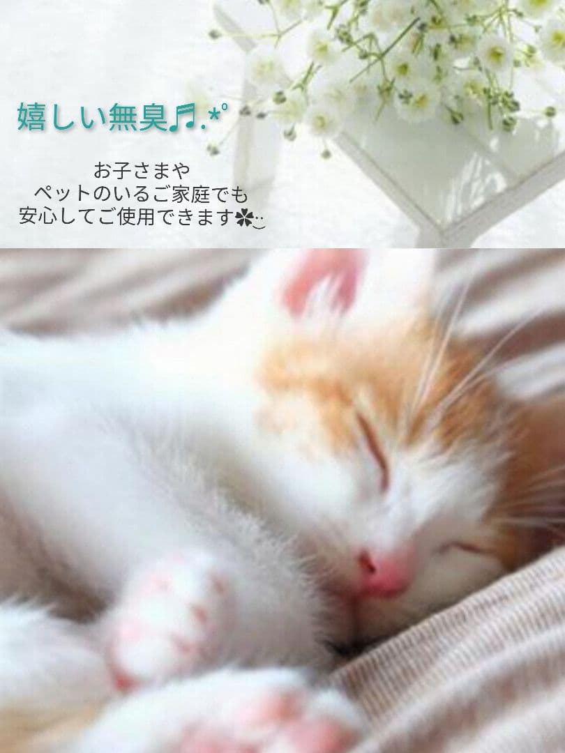 専用レジン液 シエル10本、ユキハナ1本、コーティング剤つき✩.*˚