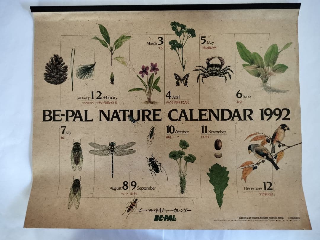 BE-PAL ビーパル カレンダー 新品未使用 1992年 ヴィンテージ