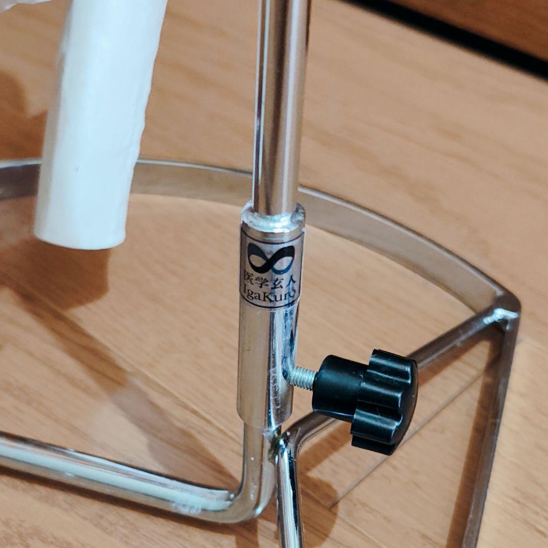 医学玄人 脊椎 骨盤 骨格模型 igakuro スタンド付き