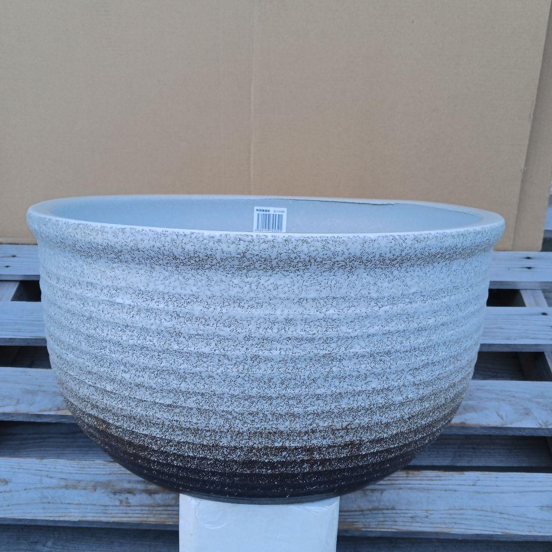 新品　∅50　陶器　睡蓮鉢　特大　メダカ鉢　白　ホワイト　ルーバー　高級　LWH