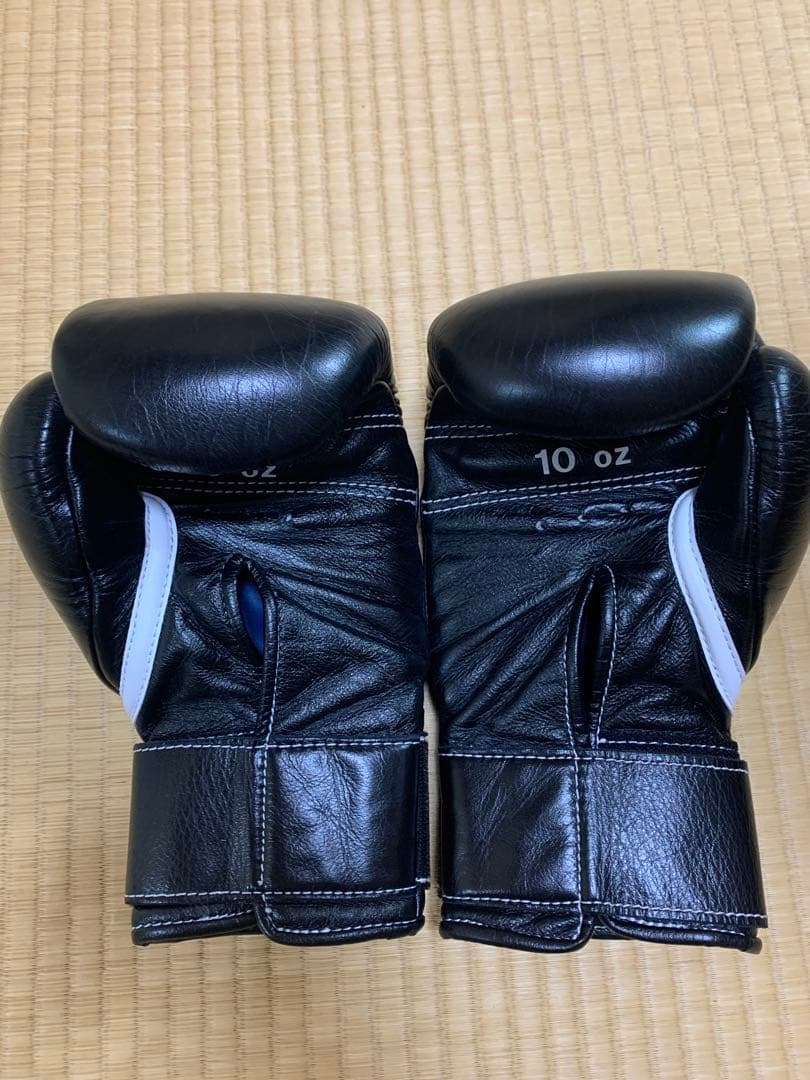 Winning ボクシング グローブ 10オンス