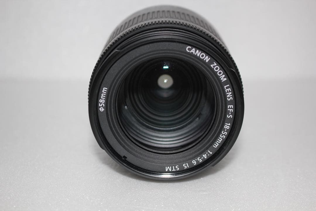 Wi-Fi/動画/保証/手ぶれ補正付きCanon EOS 80Dレンズセット