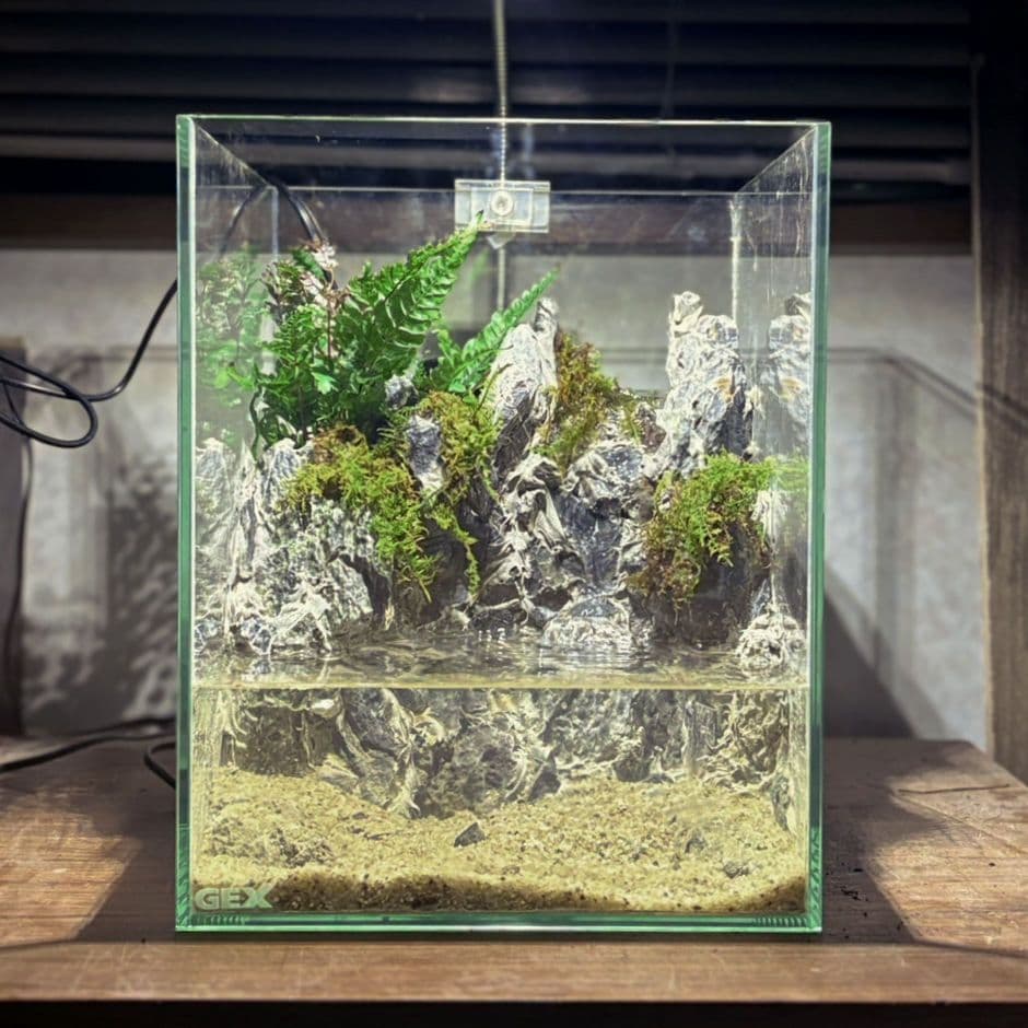 滝の流れるアクアテラリウム　No.1141