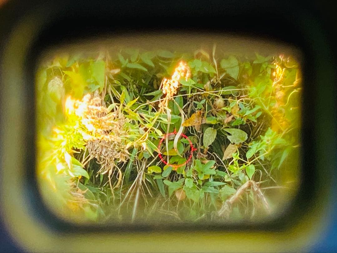 ★実物 EOTech 511 ホロサイト ＆マグカップ 法執行機関・軍用★