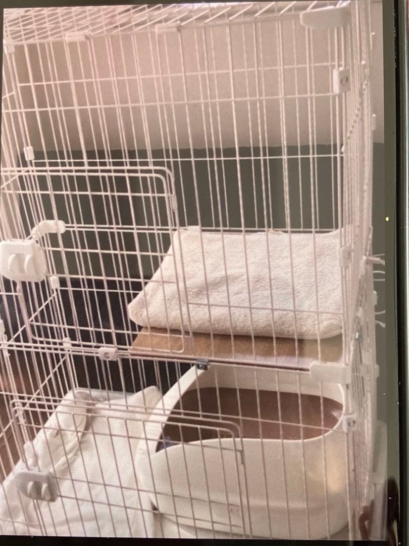 IRIS ペットケージ PEC-902V ホワイト