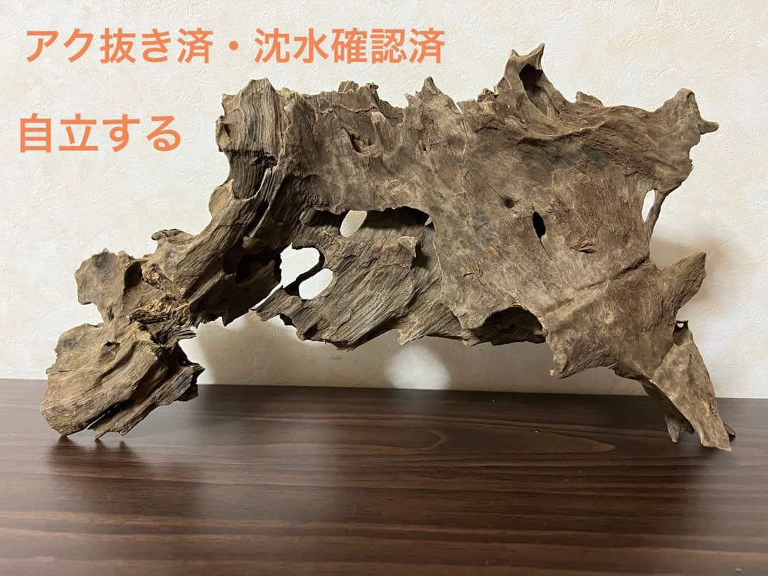 (XM-122)流木　マシンガンウッド　アクアリウム　ブランチウッド　沈水確認済