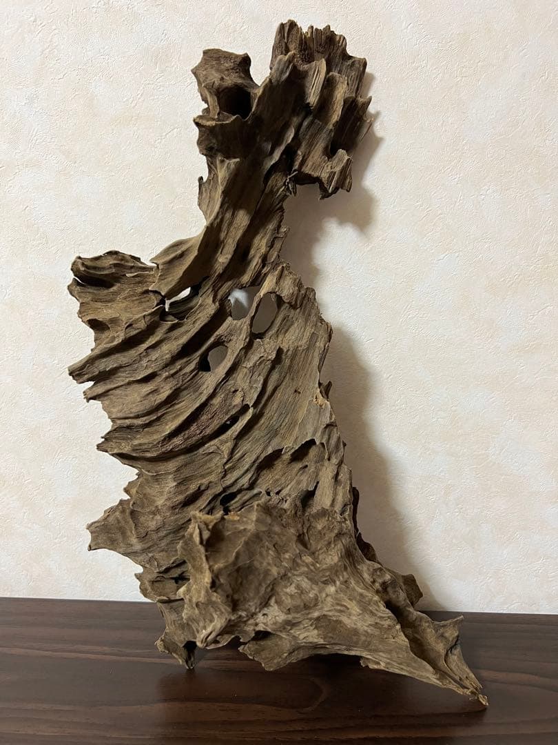 (XM-122)流木　マシンガンウッド　アクアリウム　ブランチウッド　沈水確認済