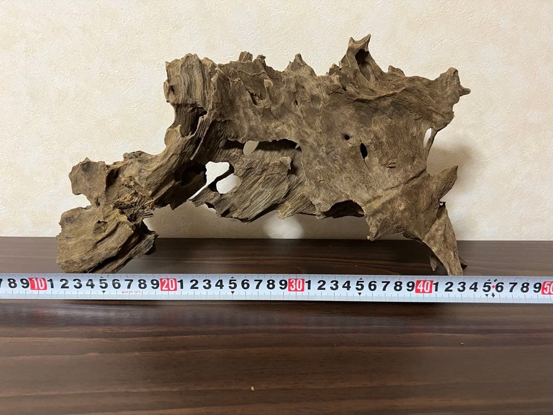 (XM-122)流木　マシンガンウッド　アクアリウム　ブランチウッド　沈水確認済