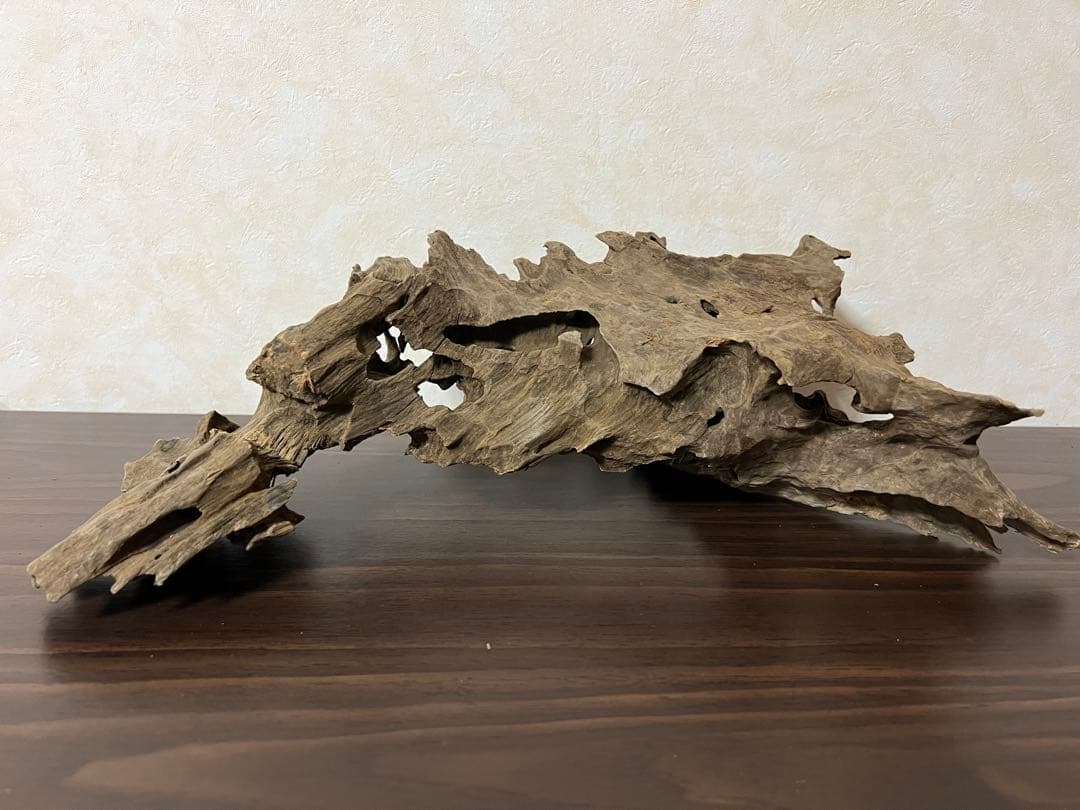 (XM-122)流木　マシンガンウッド　アクアリウム　ブランチウッド　沈水確認済