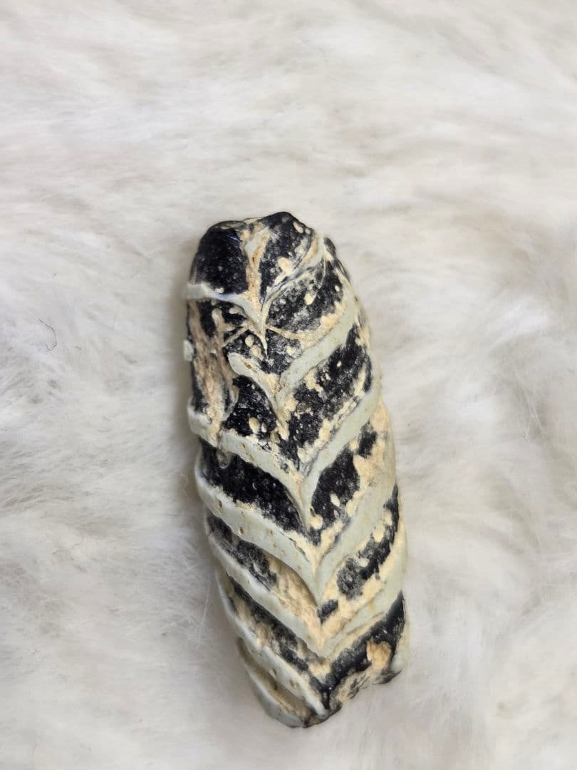 020蜻蛉玉　古いフェザー　黒と白のストライプ模様　！