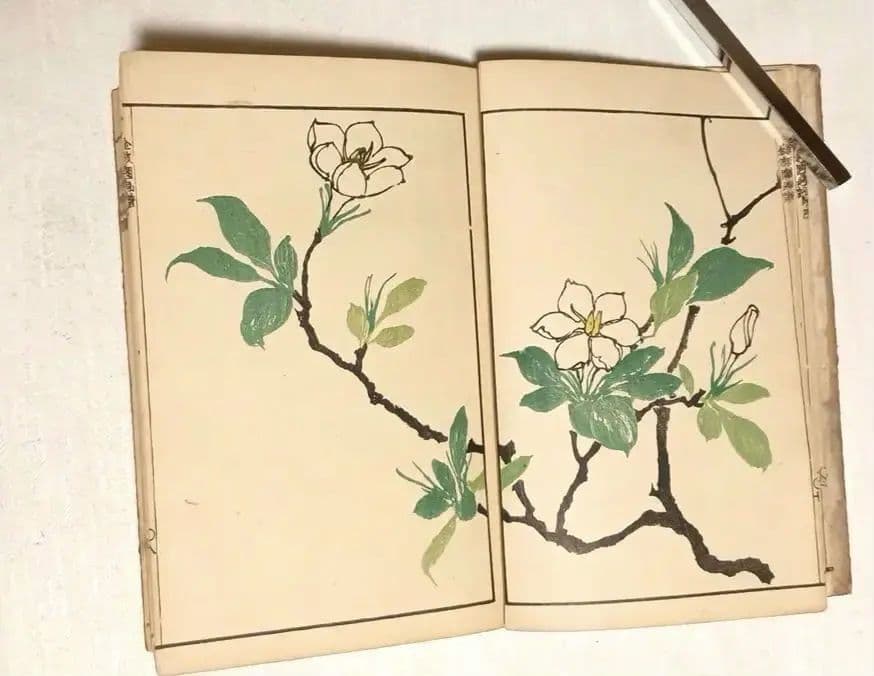 金波園画譜No.2（色刷り木版画本) 河村文鳳画、文化8年出版