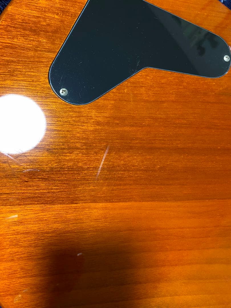 PRS SE Custom 22 セミホロウボディギター