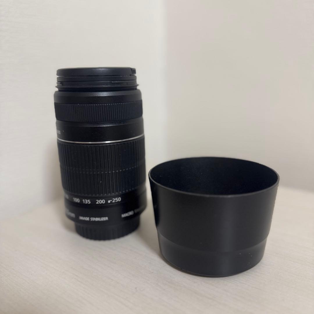 Canon EFS 55-250mm ズームレンズ