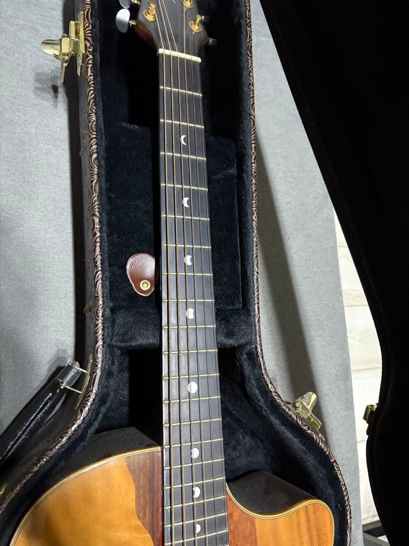 ルナ・ヴィスタ・イーグル　アコースティック・エレクトリックギター値下げ受け付け中