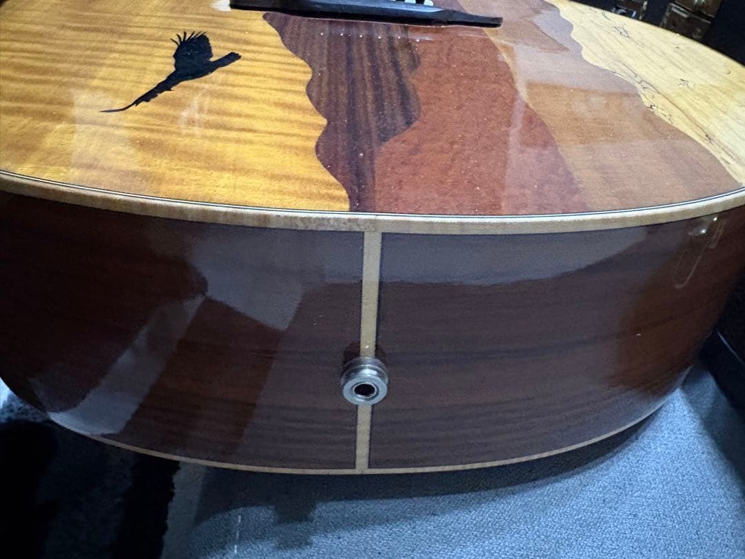 ルナ・ヴィスタ・イーグル　アコースティック・エレクトリックギター値下げ受け付け中