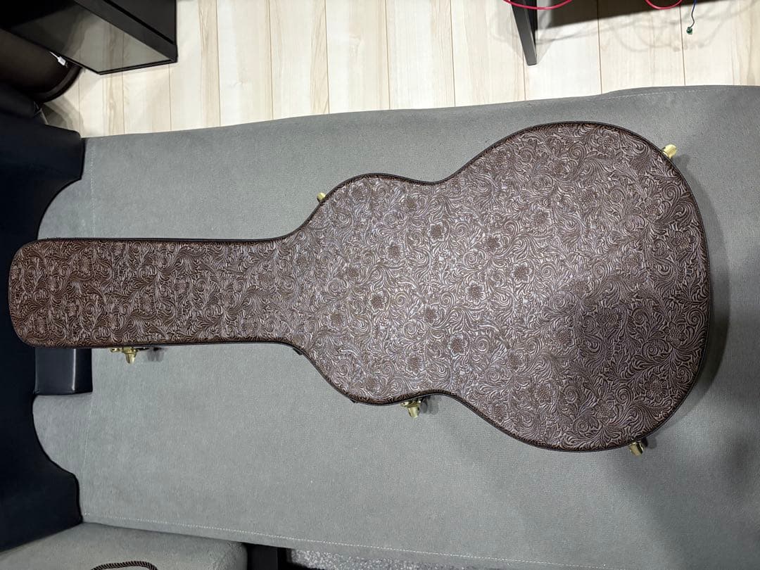 ルナ・ヴィスタ・イーグル　アコースティック・エレクトリックギター値下げ受け付け中