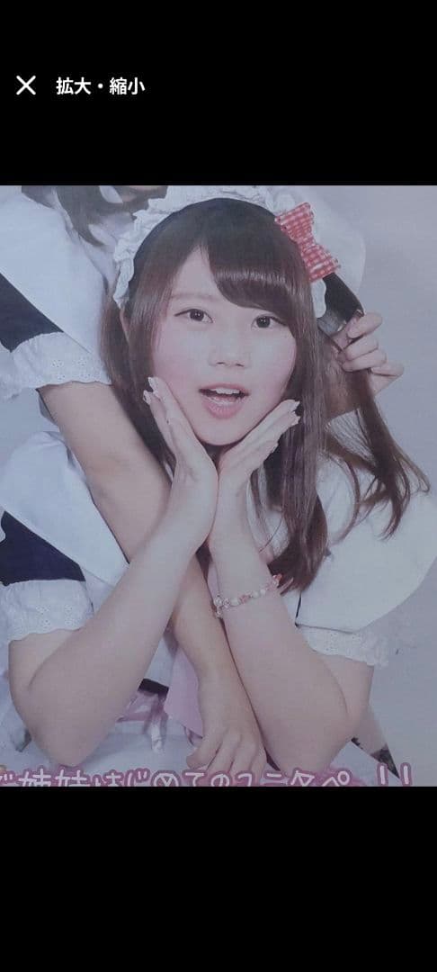 （現在非売品につきレア物）めいどりーみん　うさ　タペストリー10枚セット