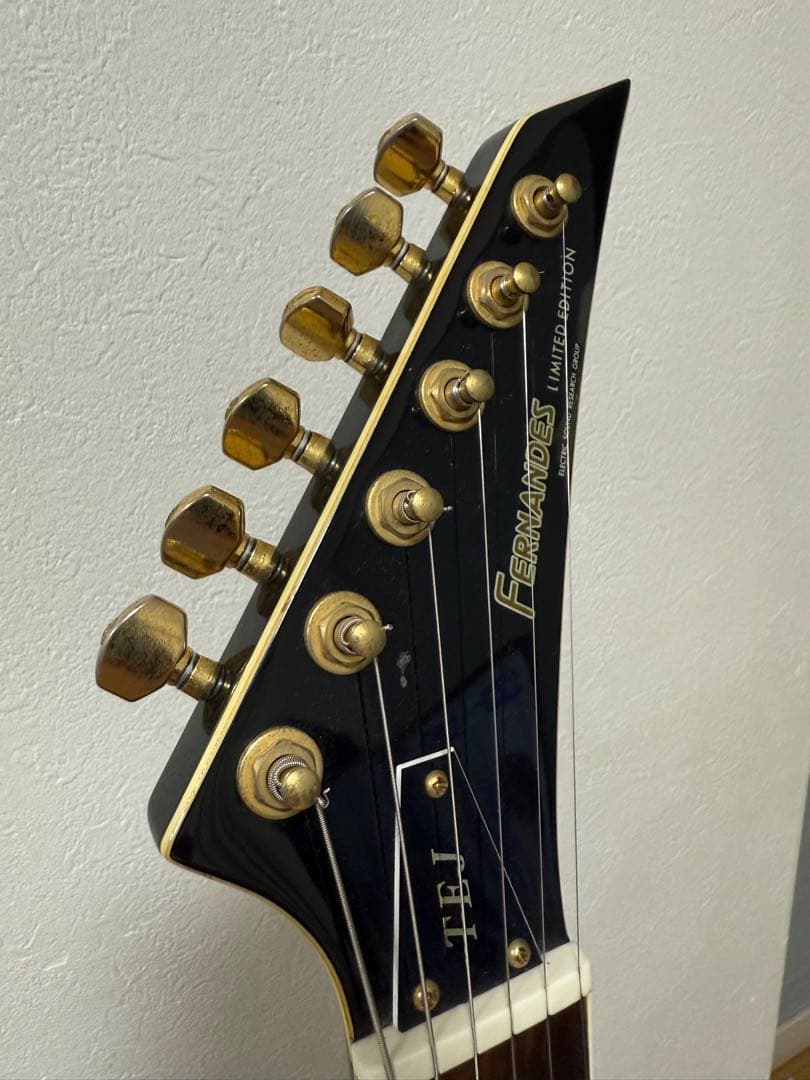 FERNANDES フェルナンデス　TEJ55G 布袋