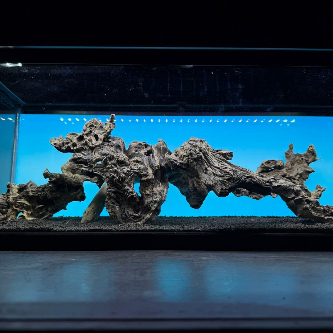 MJW-6812 「特大」ジンジャーウッド　90cm水槽用　天然流木3本セット