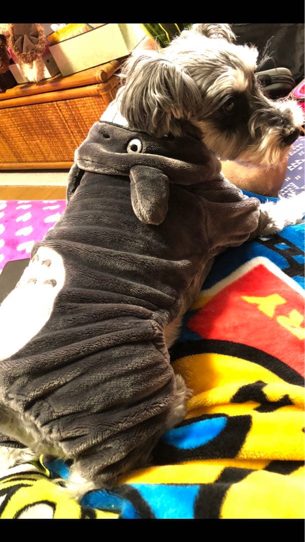 miniさま  確認用　その③