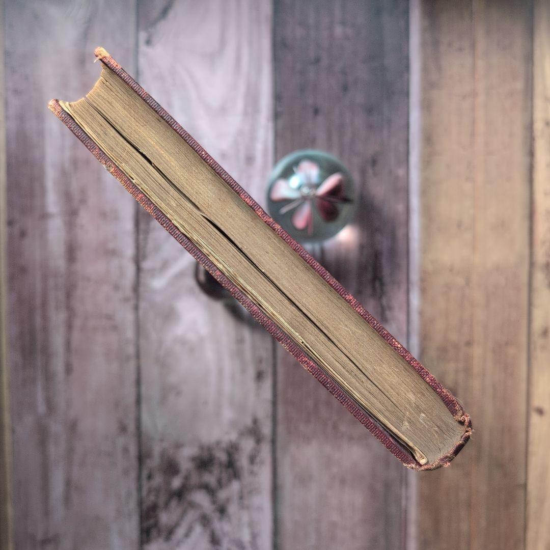 「無花果」　中村春雨（吉蔵）