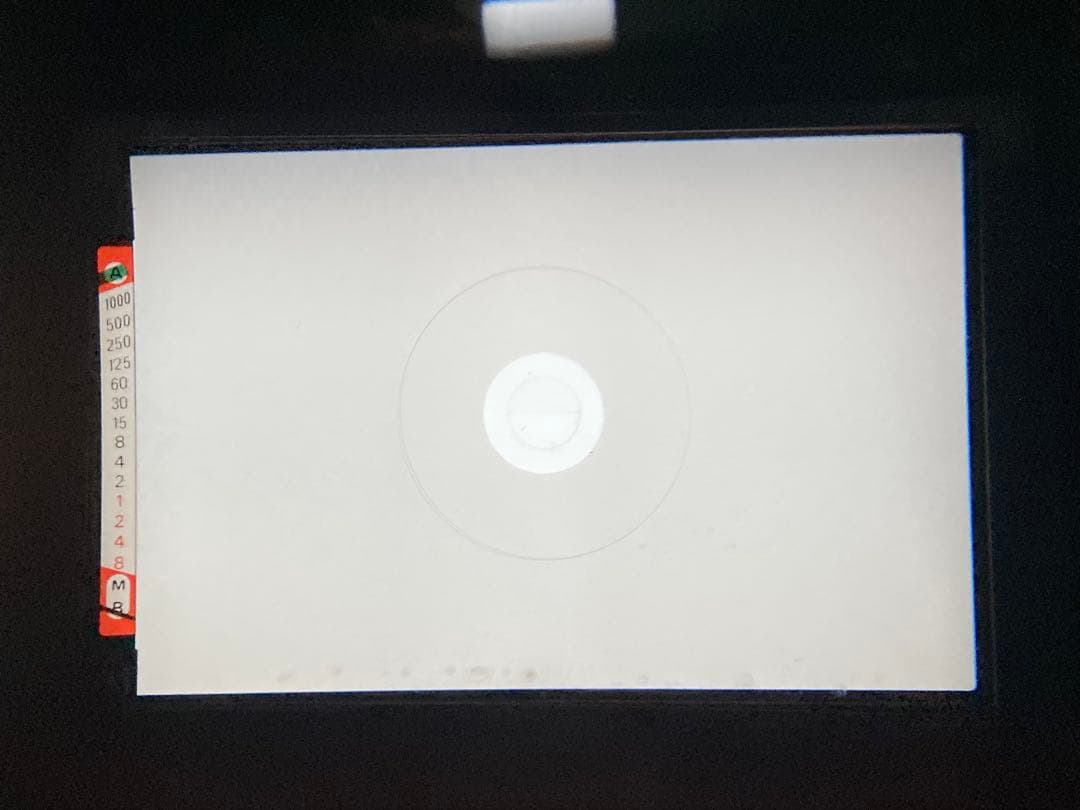 【精度良好・モルト交換済】ニコン Nikon FE ブラック 黒 ボディ