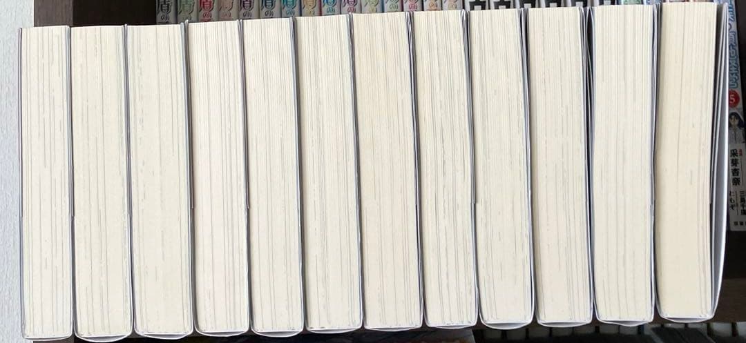 嘆きの亡霊は引退したい ～最弱ハンターによる最強パーティ育成術～ 1〜12セット