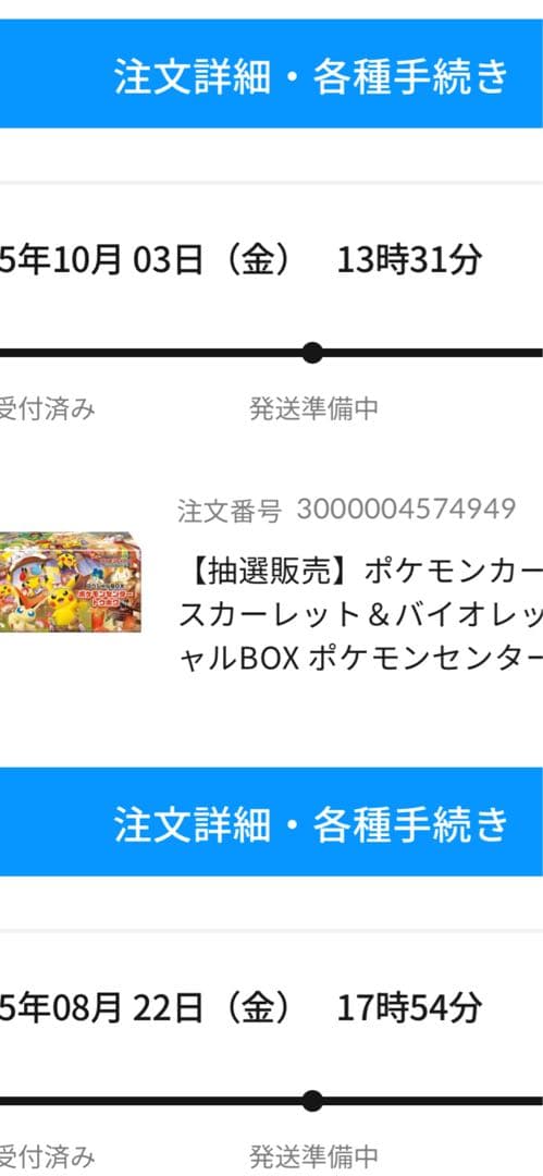 ポケモンセンター　トウホクスペシャルボックス 新品未開封　再販当選品