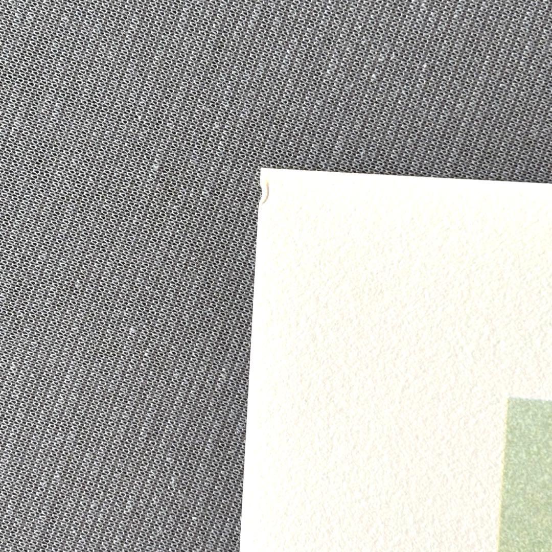 安彦良和/機動戦士ガンダム　20周年記念　 リトグラフ2枚組