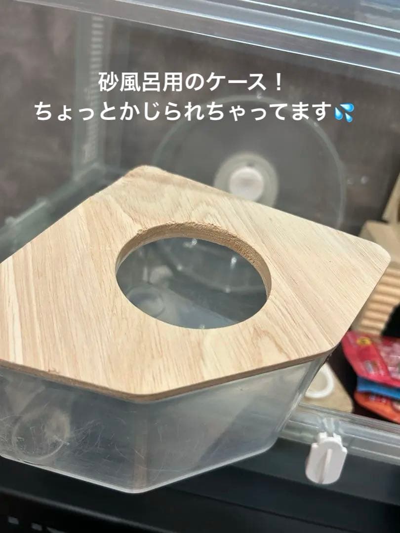 【総額2万円相当！ハムスター飼育セット】GEX グラスハーモニー・新品おやつ付き