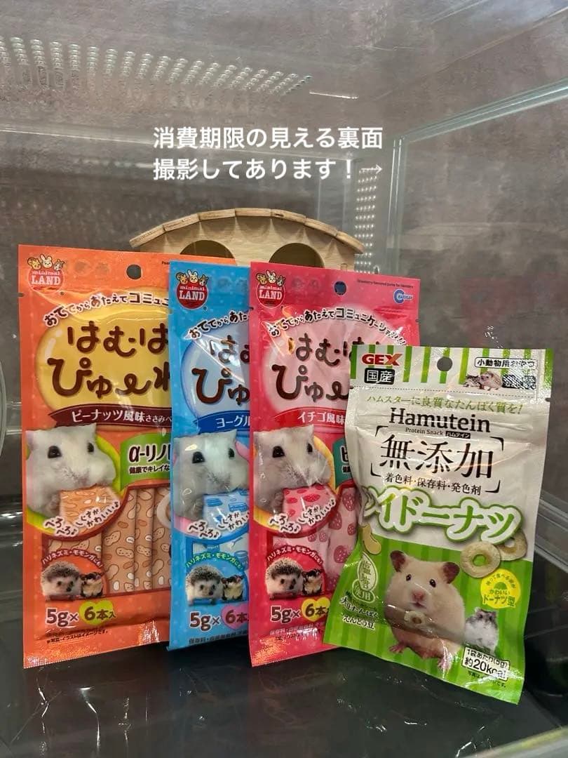 【総額2万円相当！ハムスター飼育セット】GEX グラスハーモニー・新品おやつ付き