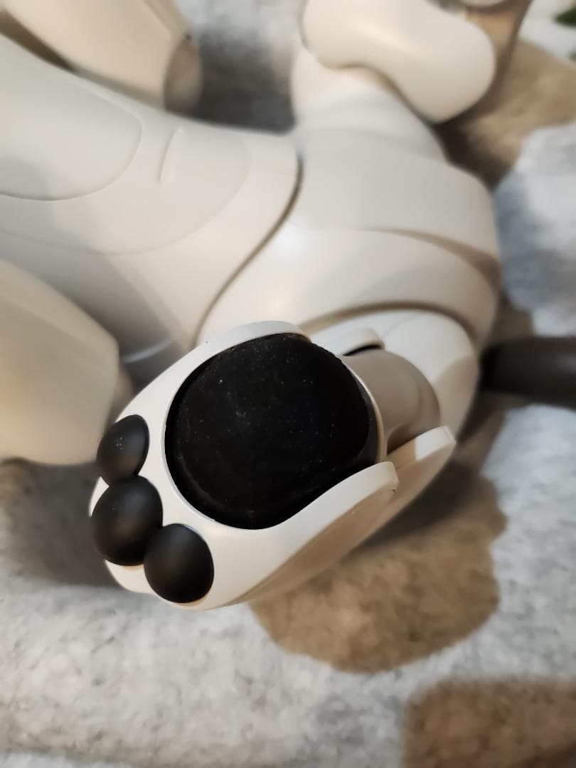 ソニーAIBO ERS-1000