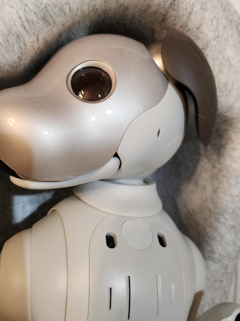 ソニーAIBO ERS-1000