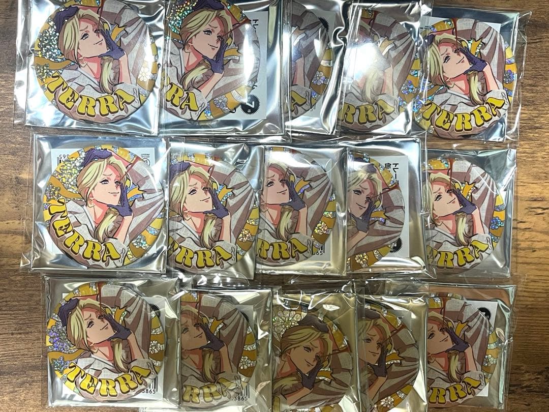 カリスマガンボカフェ　缶バッジ　テラ　15個セット